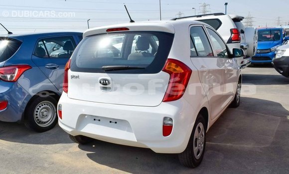 Acheter Import Voiture Kia Picanto Blanc à Import - Dubai, Marquesas Acheter Import Voiture Kia Picanto Blanc à Import - Dubai, Marquesas