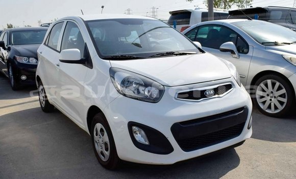 Acheter Import Voiture Kia Picanto Blanc à Import - Dubai, Marquesas Acheter Import Voiture Kia Picanto Blanc à Import - Dubai, Marquesas