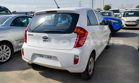 Acheter Import Voiture Kia Picanto Blanc à Import - Dubai, Marquesas Acheter Import Voiture Kia Picanto Blanc à Import - Dubai, Marquesas