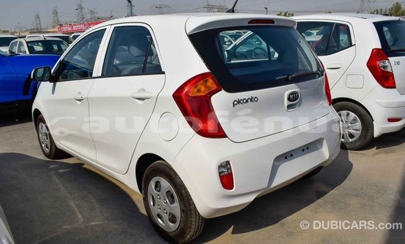 Acheter Import Voiture Kia Picanto Blanc à Import - Dubai, Marquesas Acheter Import Voiture Kia Picanto Blanc à Import - Dubai, Marquesas
