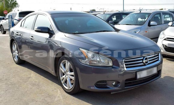 Acheter Import Voiture Nissan Maxima Autre à Import - Dubai, Marquesas Acheter Import Voiture Nissan Maxima Autre à Import - Dubai, Marquesas