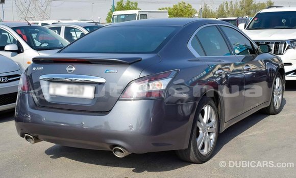Acheter Import Voiture Nissan Maxima Autre à Import - Dubai, Marquesas Acheter Import Voiture Nissan Maxima Autre à Import - Dubai, Marquesas
