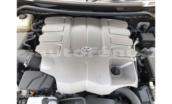 Buy Import Toyota Land Cruiser White Car in Import - Dubai in Marquesas Buy Import Toyota Land Cruiser White Car in Import - Dubai in Marquesas