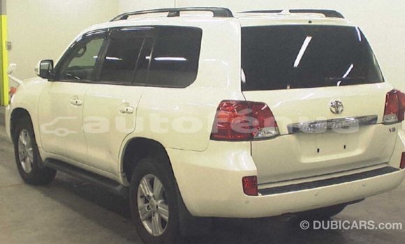 Buy Import Toyota Land Cruiser White Car in Import - Dubai in Marquesas Buy Import Toyota Land Cruiser White Car in Import - Dubai in Marquesas
