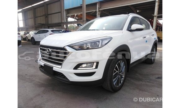 Acheter Import Voiture Hyundai Tucson Blanc à Import - Dubai, Marquesas Acheter Import Voiture Hyundai Tucson Blanc à Import - Dubai, Marquesas
