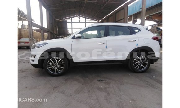 Acheter Import Voiture Hyundai Tucson Blanc à Import - Dubai, Marquesas Acheter Import Voiture Hyundai Tucson Blanc à Import - Dubai, Marquesas