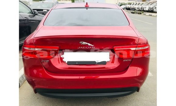 Buy Import Jaguar XE Red Car in Import - Dubai in Marquesas Buy Import Jaguar XE Red Car in Import - Dubai in Marquesas