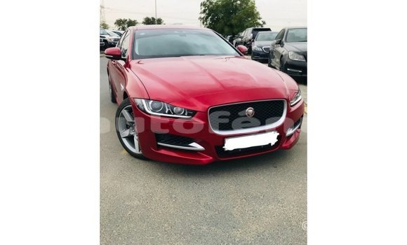Buy Import Jaguar XE Red Car in Import - Dubai in Marquesas Buy Import Jaguar XE Red Car in Import - Dubai in Marquesas