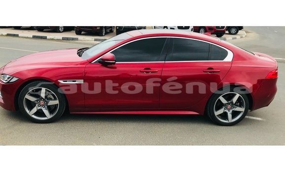 Buy Import Jaguar XE Red Car in Import - Dubai in Marquesas Buy Import Jaguar XE Red Car in Import - Dubai in Marquesas