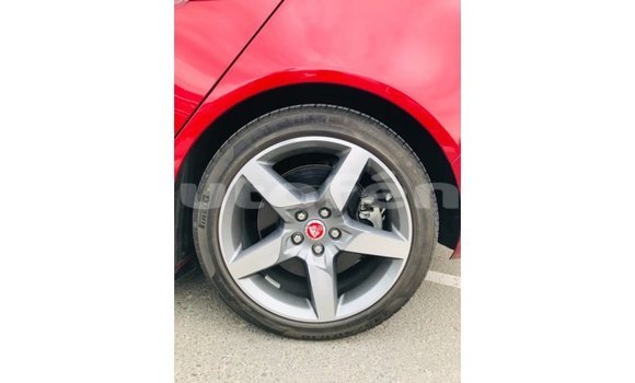 Buy Import Jaguar XE Red Car in Import - Dubai in Marquesas Buy Import Jaguar XE Red Car in Import - Dubai in Marquesas